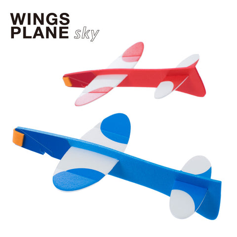 Wings Plane Sky Koncent