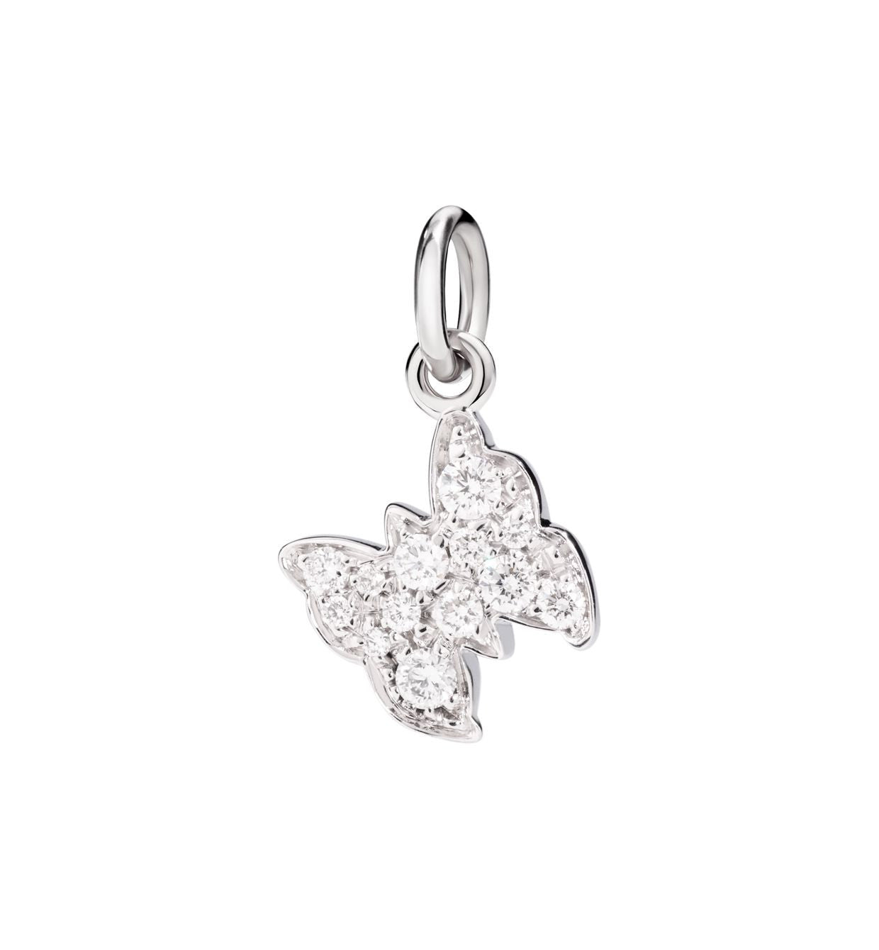 DoDo Butterfly in 18kt White Gold with Diamonds - Orsini Jewellers NZ