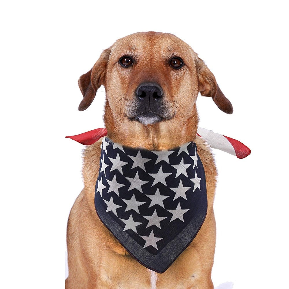 american flag puppy bandana