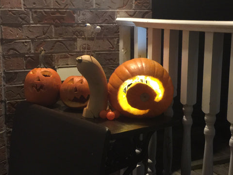 Snail Pumpkin Halloween DIY Squash Garden Project Simple Decor