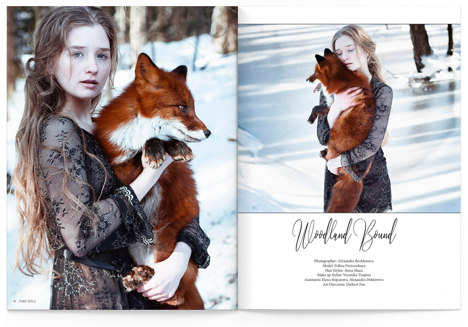 Darkest Fox in Femme Rebelle Magazine • Woodland Bound Fox