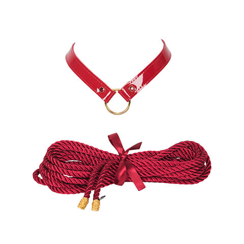 Restraints Collar and Rope