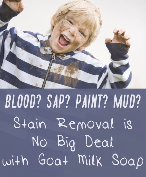 https://cdn.shopify.com/s/files/1/1319/5795/files/Blood_Sap_Paint_Mud_Stain_Removal_is_No_Big_Deal_with_Goat_Milk_Soap_Blood_Sap_Paint_Mud_Stain_Removal_is_No_Big_Deal_with_Goat_Milk_Soap_-_Bend_Soap_Company_grande.jpg?v=1492703913