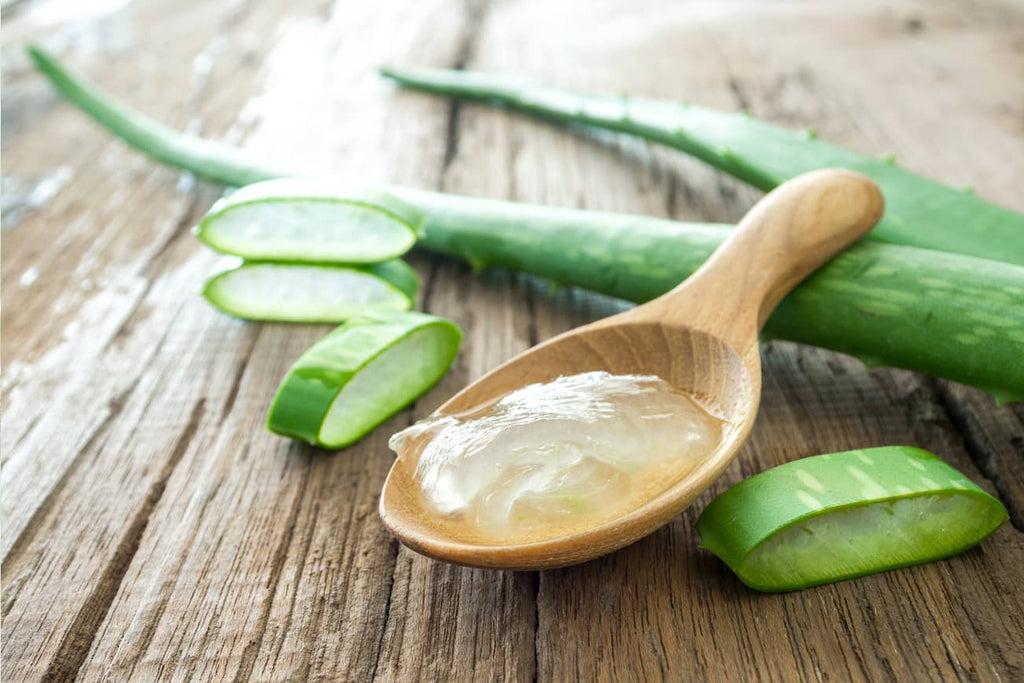 The Benefits of Aloe Vera – Bend Soap Company