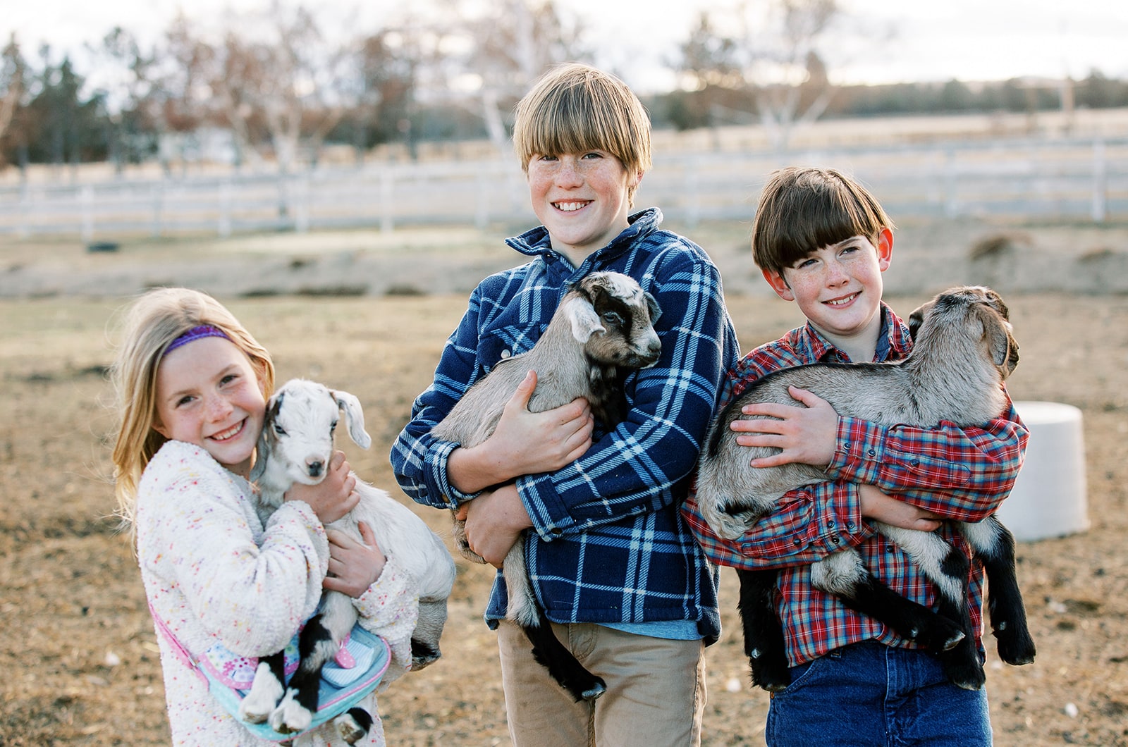 Johnson children holding baby goats on the farm in early spring