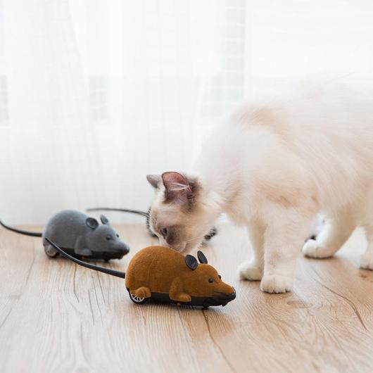 remote control mouse for cats