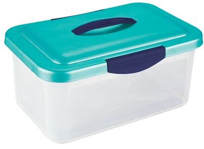 plastic storage tubs with handles