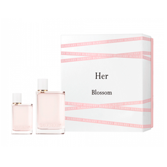 burberry gift set for her