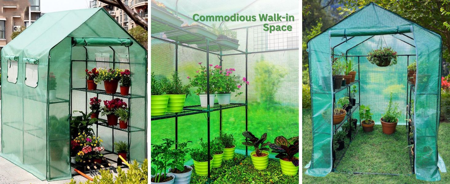 walk-in greenhouse