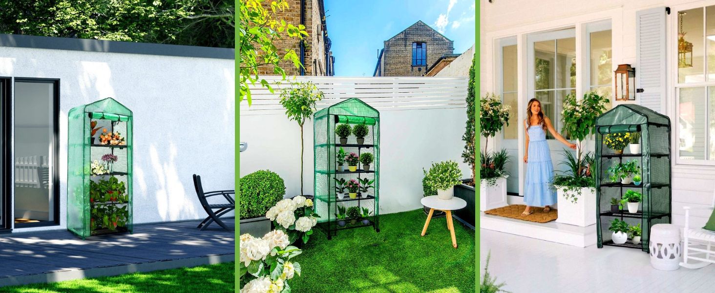 mini greenhouse