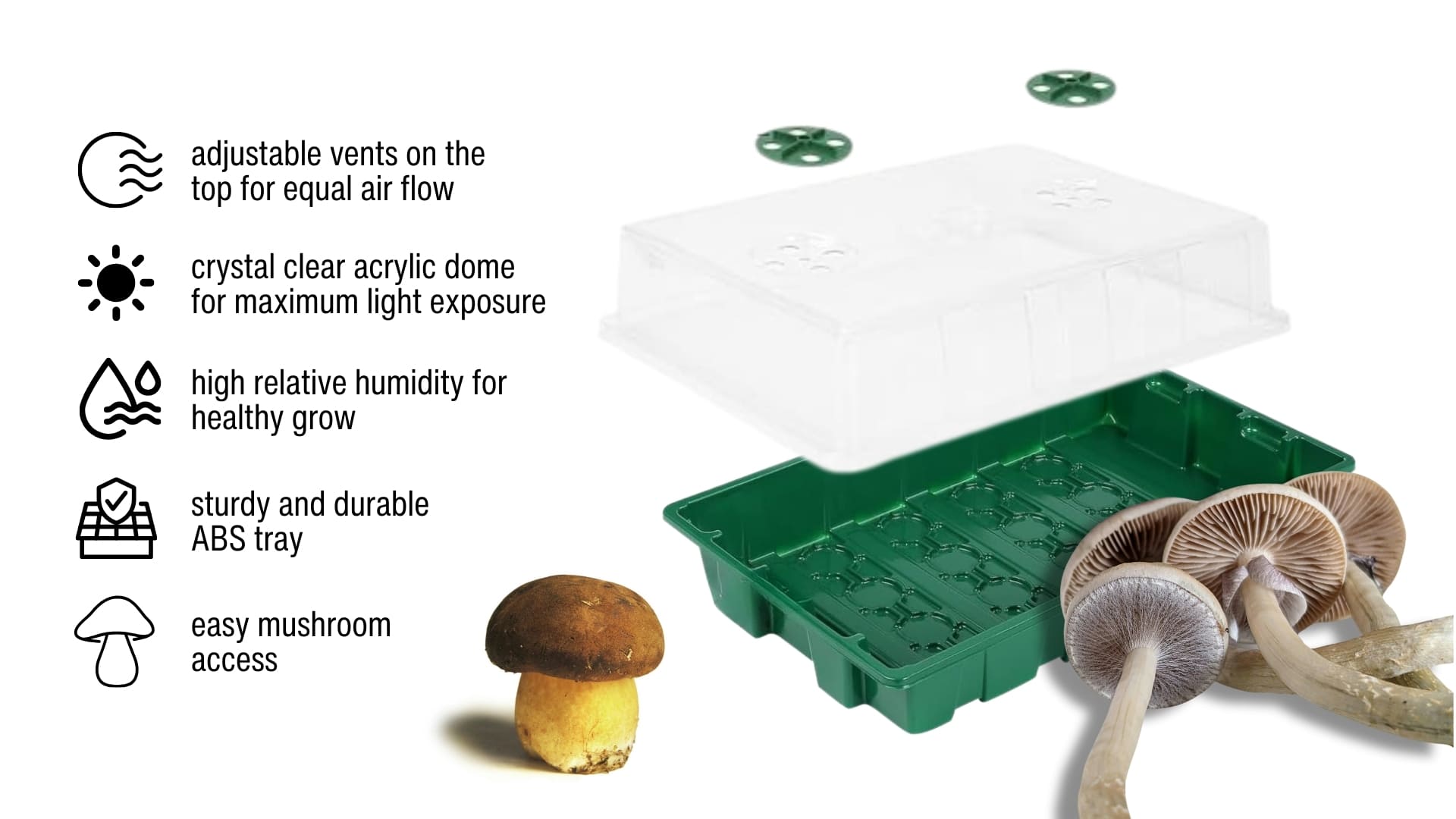 mushroom grow kit