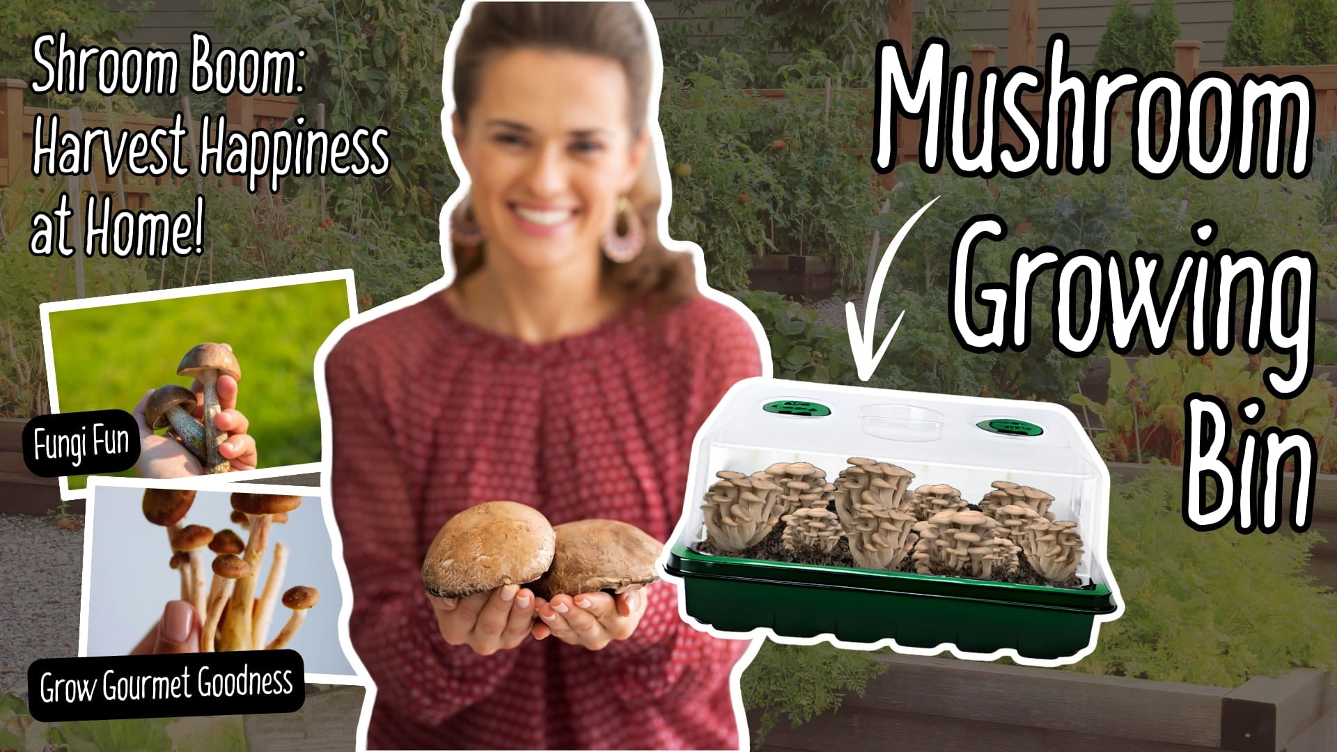 mushroom grow kit