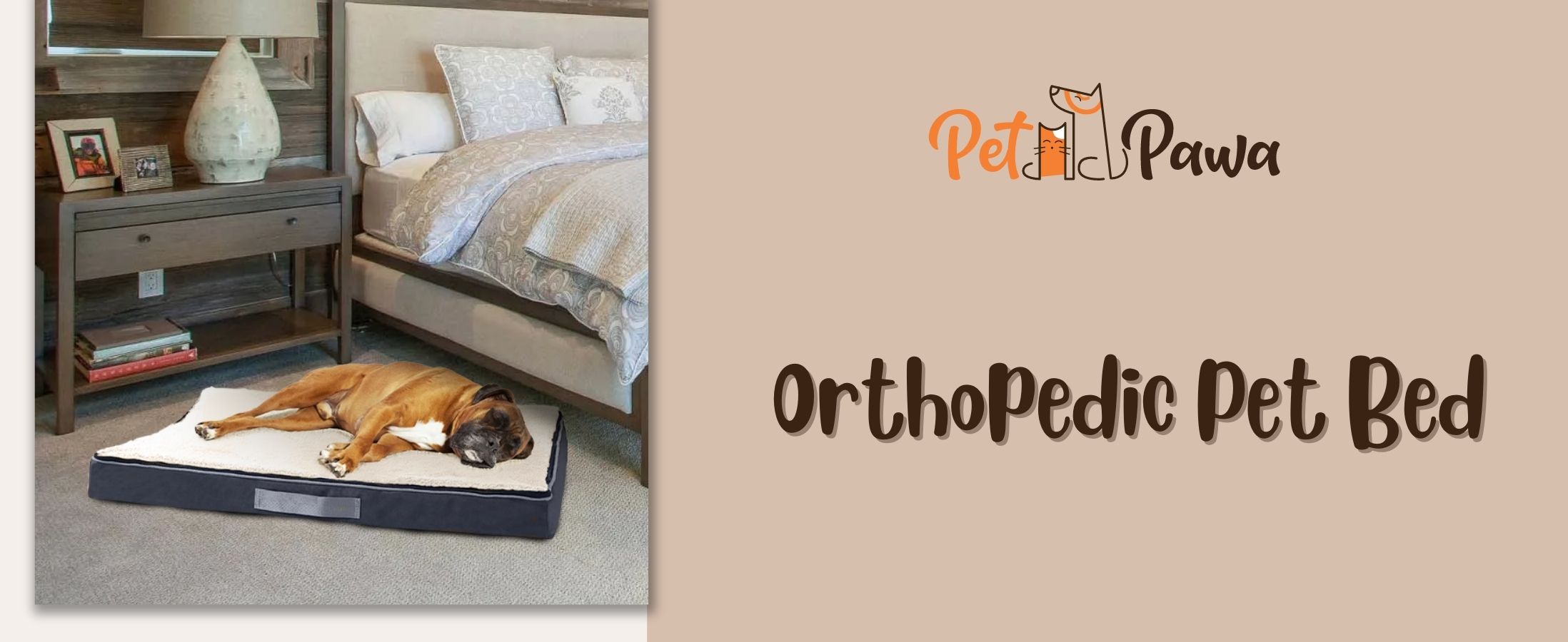 orthopedic dog bed