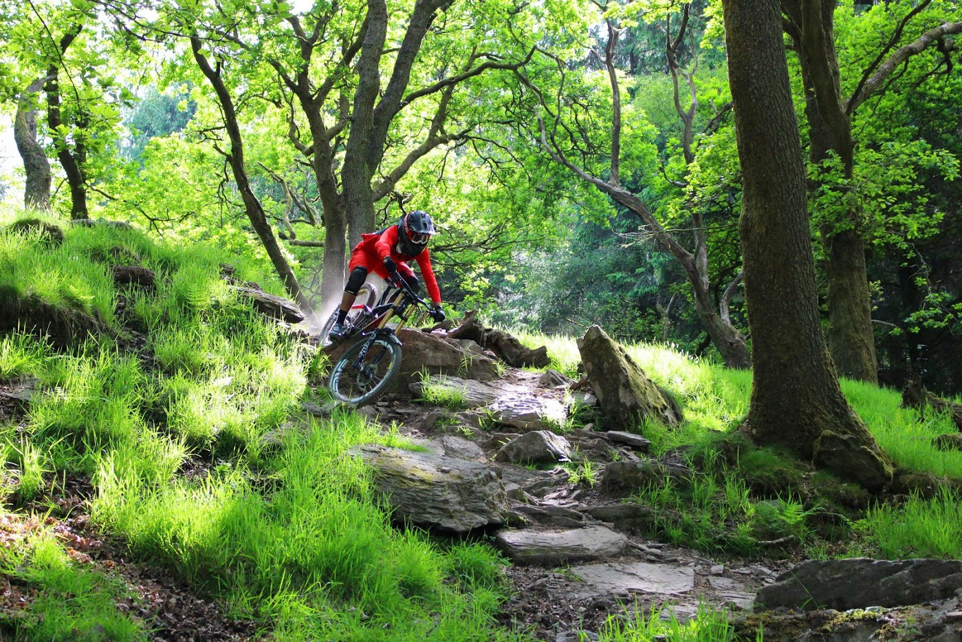 Bike Park Wales Red Tech Trails