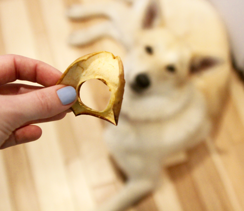 Treat your dog for being good with our all-natural apple rings!