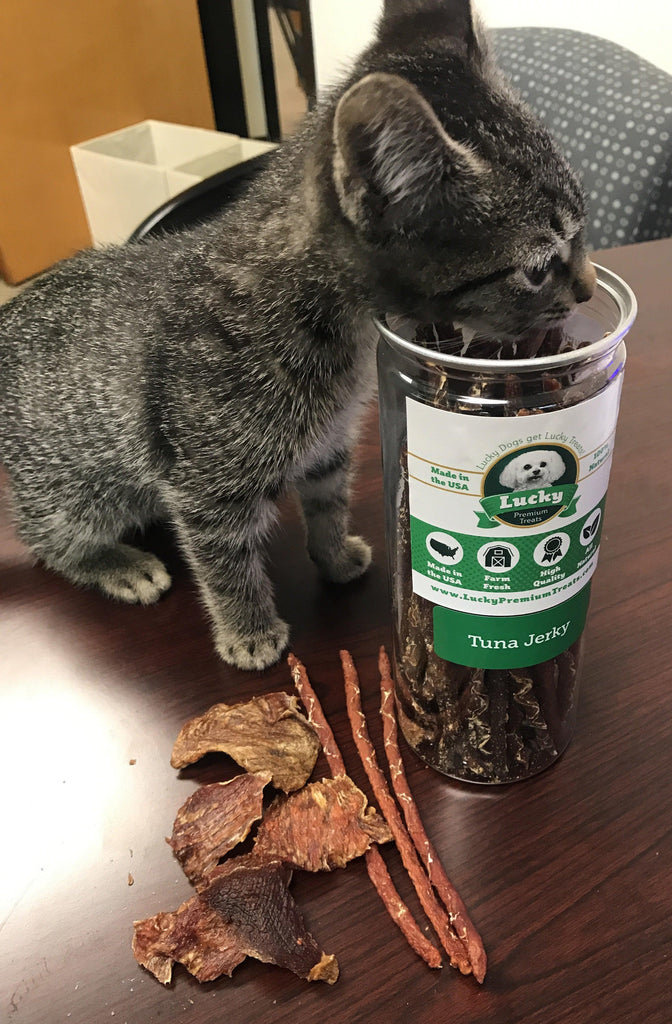 Tuna Jerky for Dogs and Cats