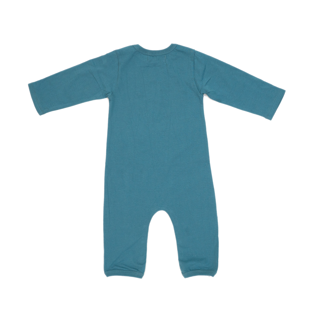 Baby Rompers, Organic Baby Clothes, Organic Kids Clothes – SATVA