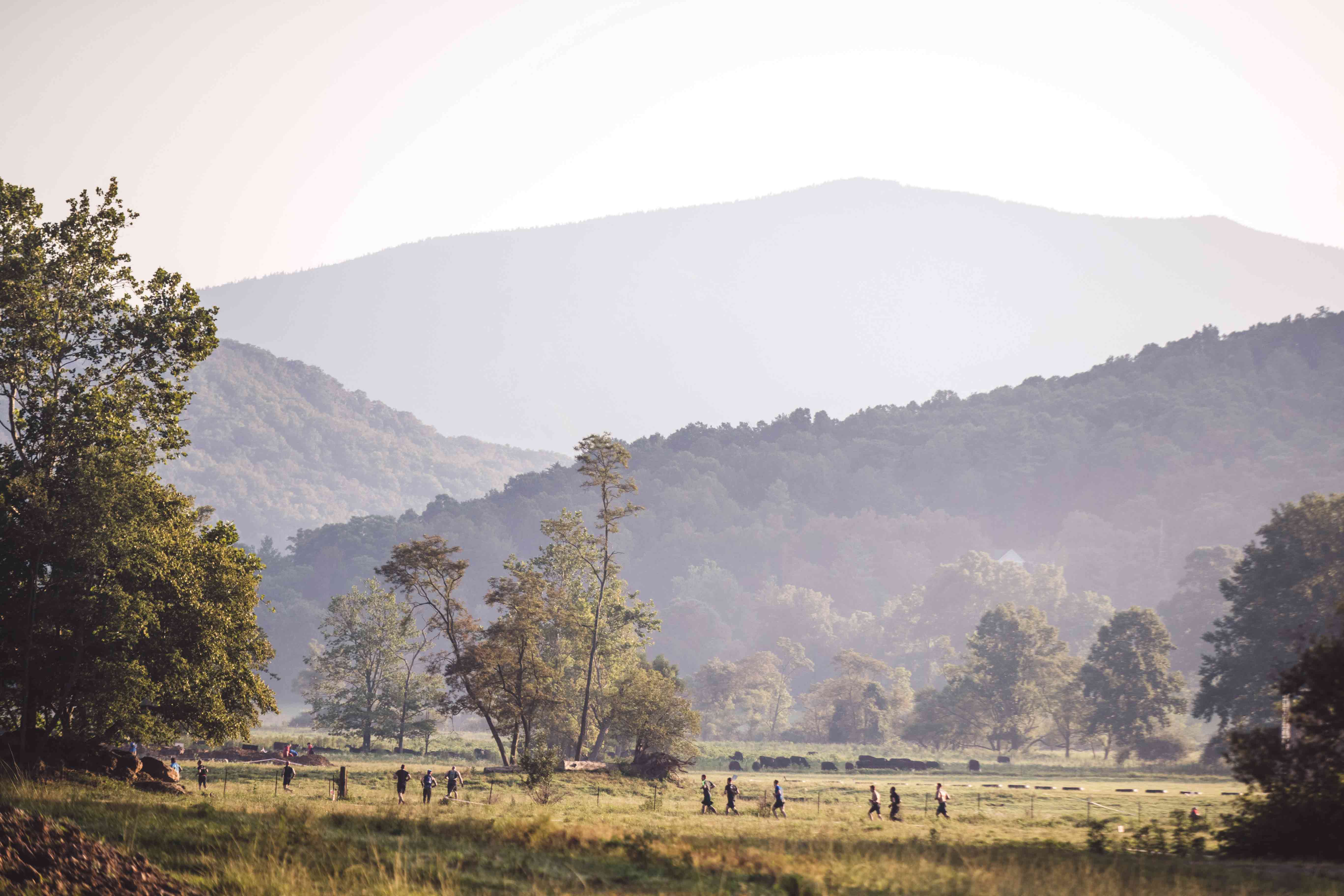 Spartan Races in November