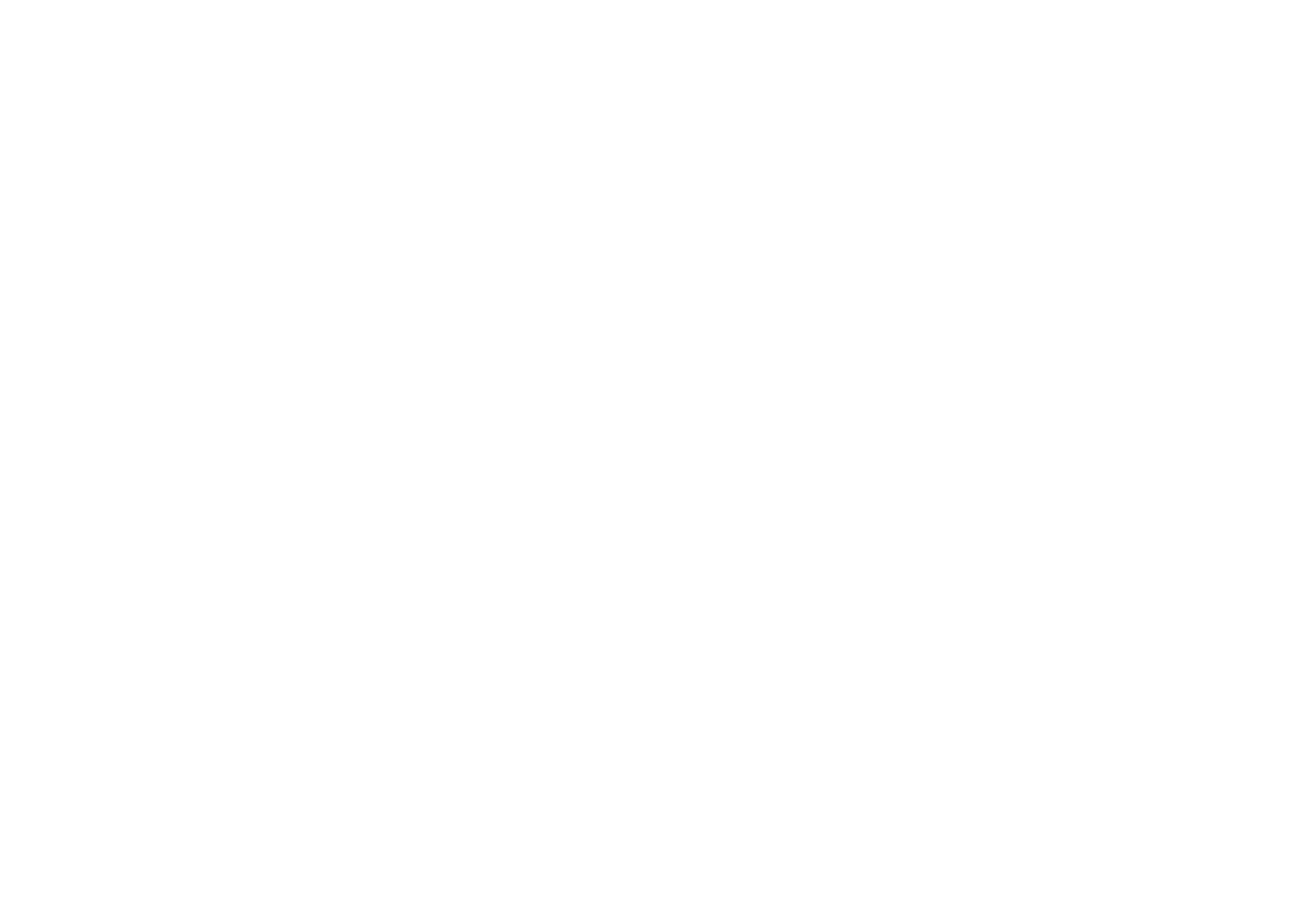 Flash Sale