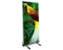 Outdoor Banner Stands