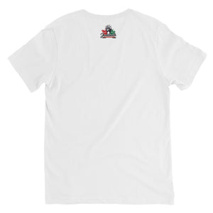 Juneteenth Freedom 1 V-Neck T-Shirt