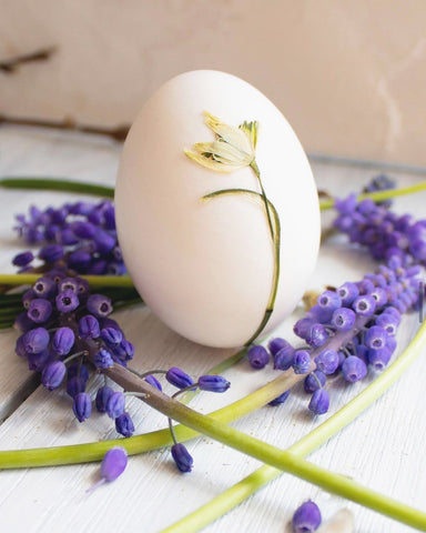 Egg with dried flower by The Lesser Bear
