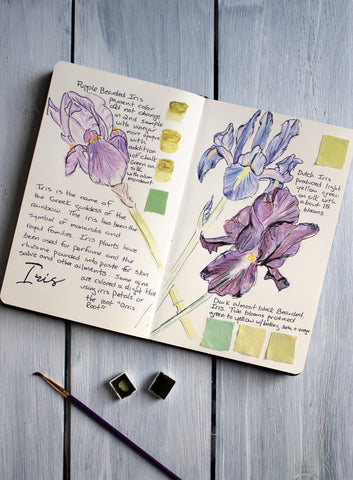 Purple Iris Dye Journal Page by The Lesser Bear