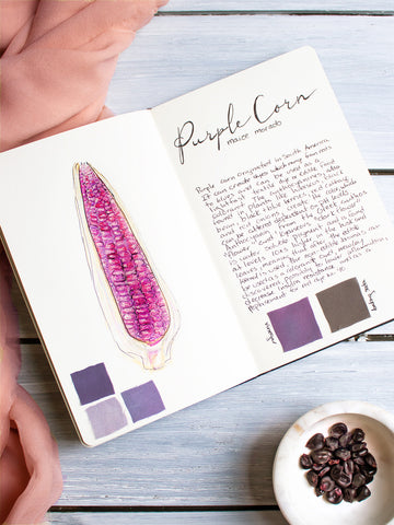 Purple Corn Dye Journal Page by The Lesser Bear