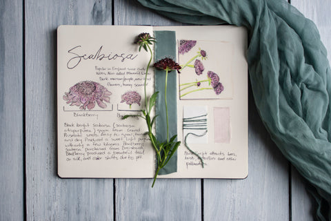 Scabiosa Dye Journal Page by The Lesser Bear