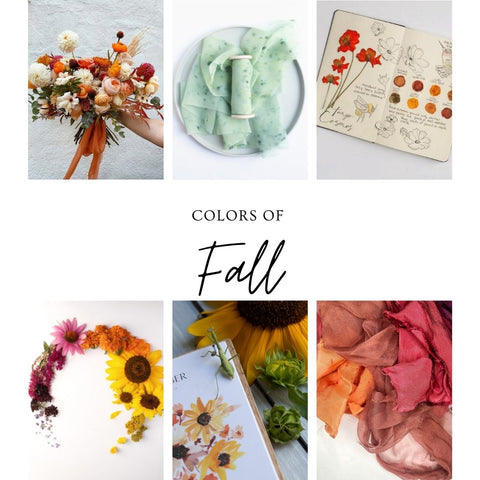 Fall Colors of Naturally Dyed Silk Ribbon and Dye Plants