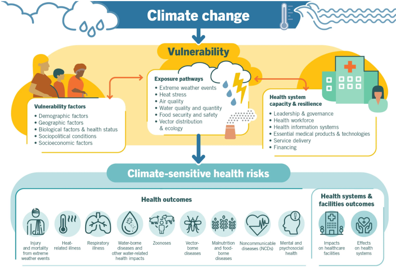An overview of climate-sensitive health risks, their exposure pathways and vulnerability factors. Climate change impacts health both directly and indirectly, and is strongly mediated by environmental, social and public health determinants.