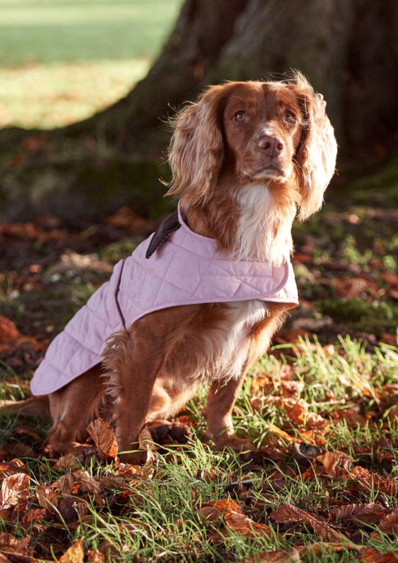 Barbour Pink Quilted Dog Coat | North 