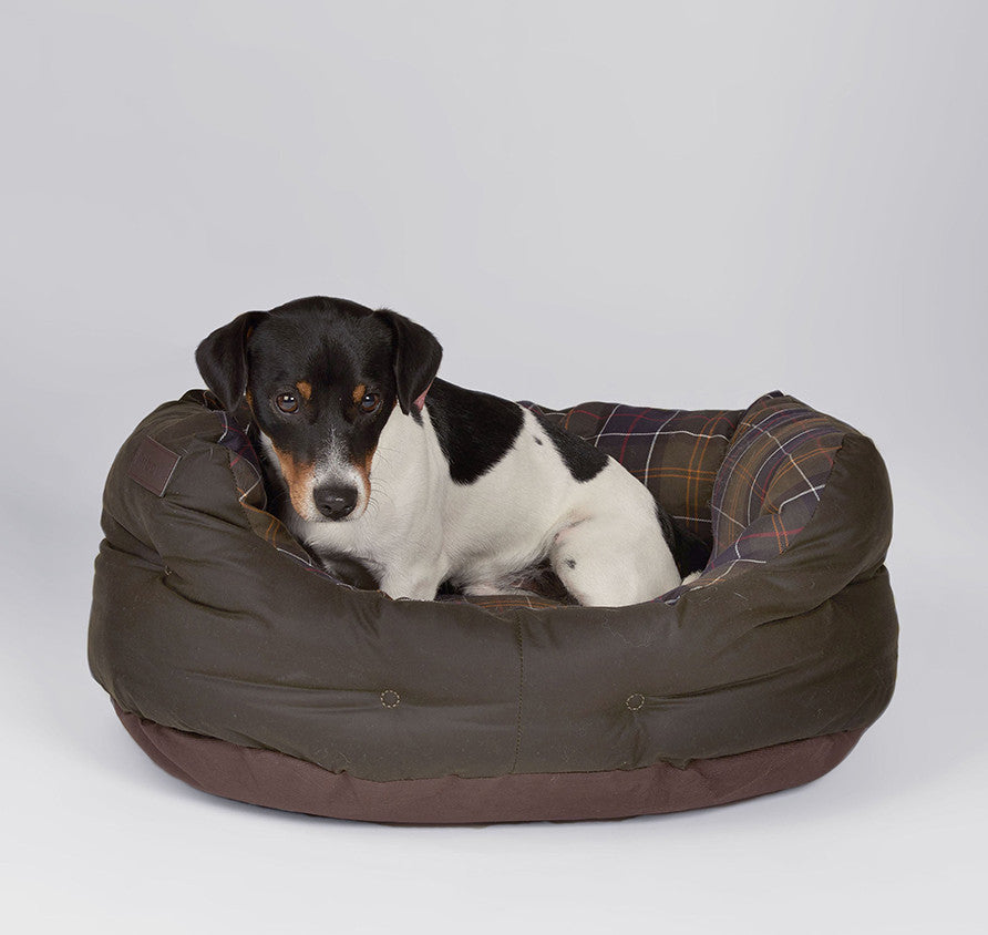 barbour dog products