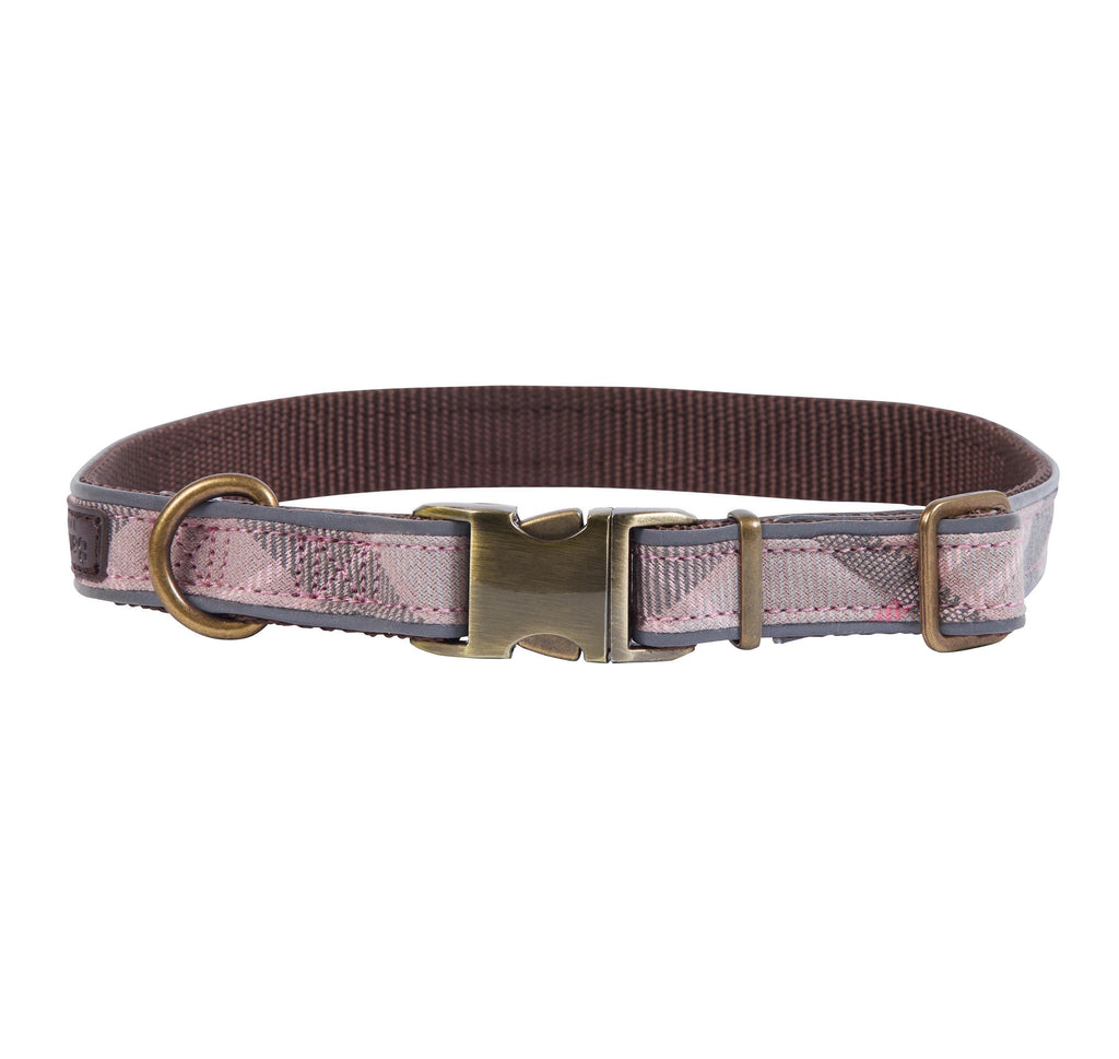 barbour webbing dog collar