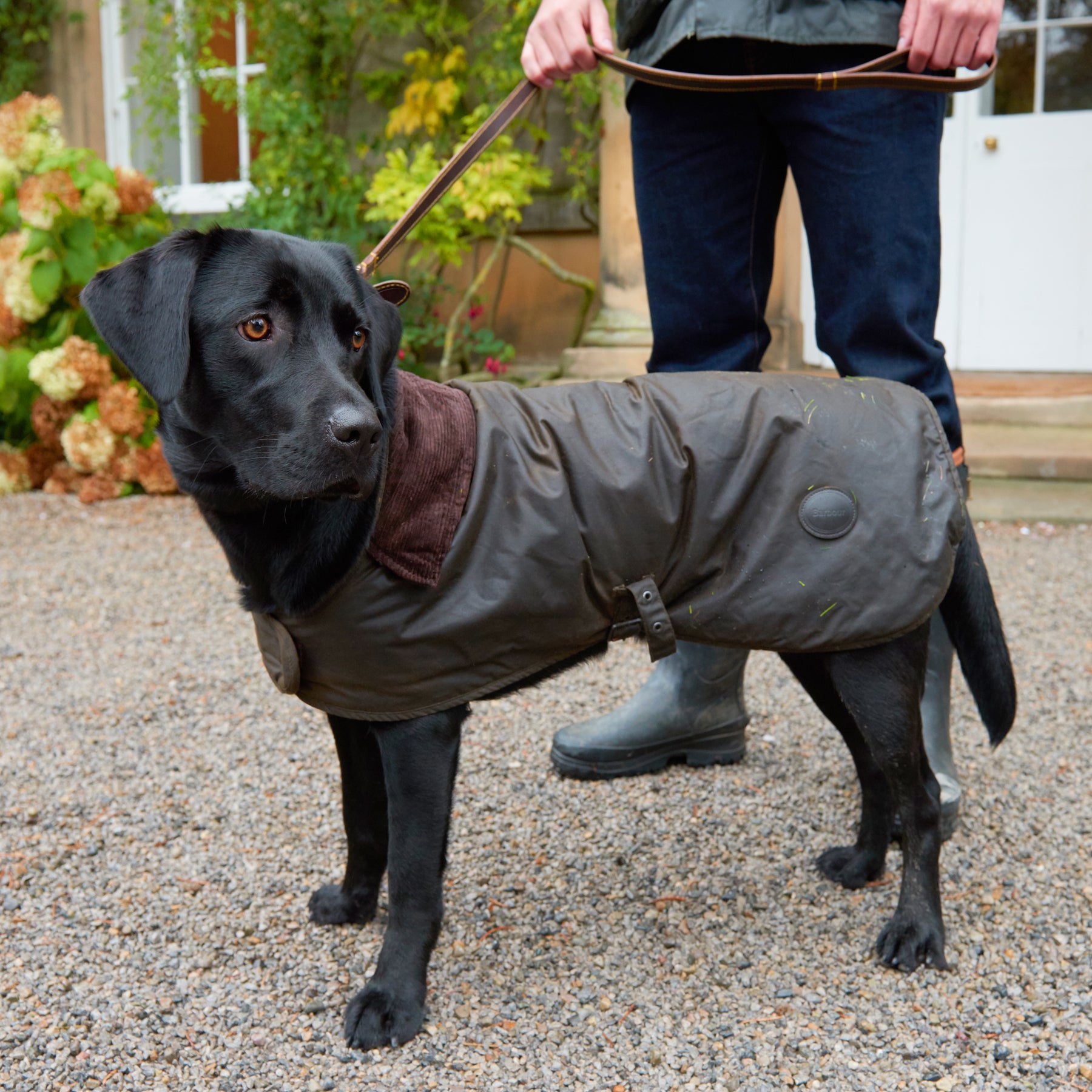 Barbour Waxed Cotton Dog Coat - Olive 