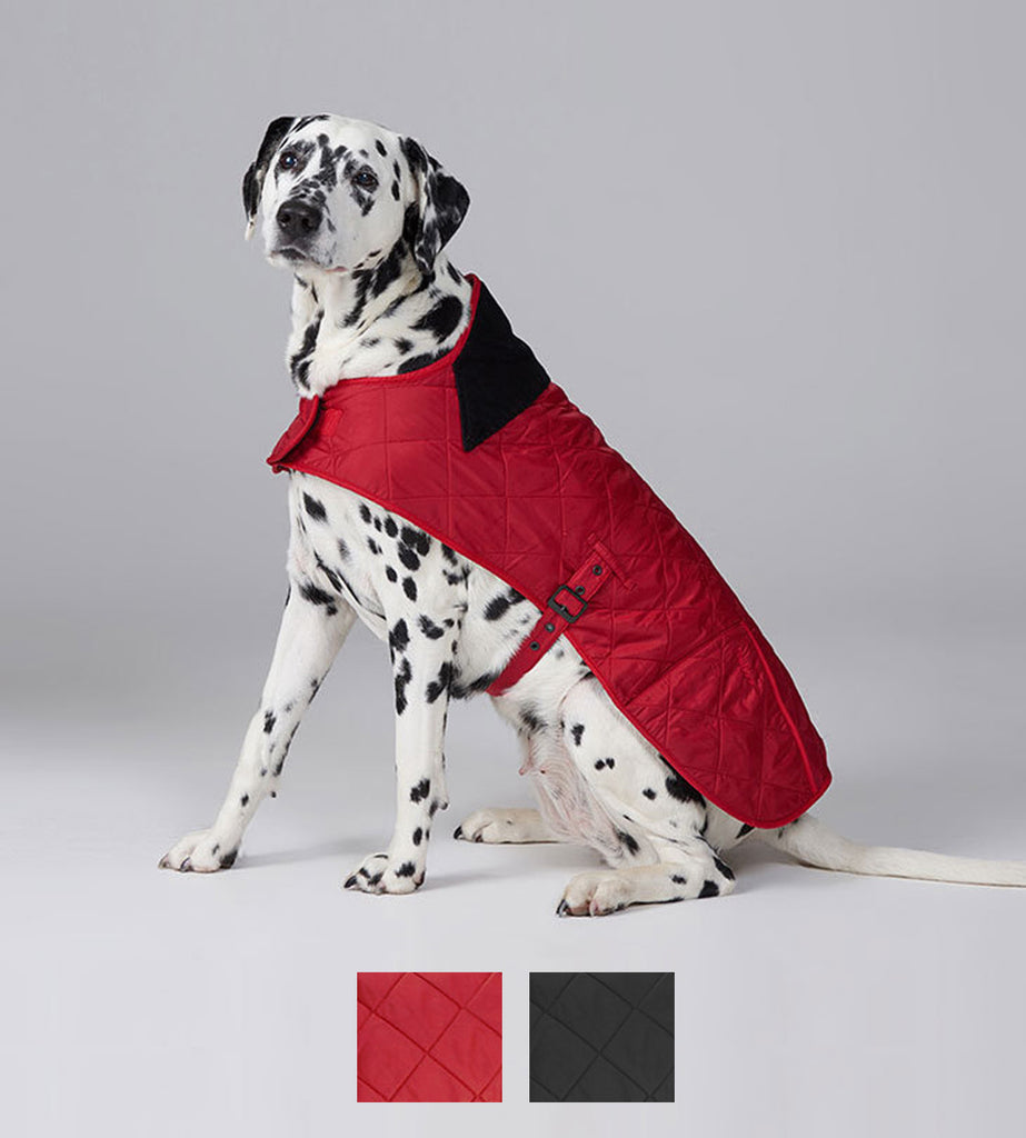 barbour waterproof dog coat
