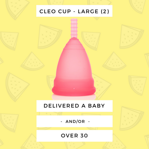 Cleo Cup Sizing Guidelines Cleo Cup