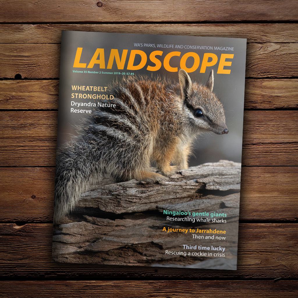 LANDSCOPE Vol 35/No 2 Summer 2019-20