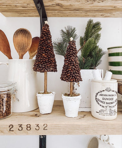 Mini Coffee Christmas Trees - Five Star Coffee