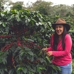 deborah - honduras - organic honey process - five star coffee roasters