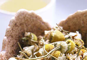 Organic Chamomile