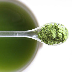 Organic Tencha Matcha Green Tea