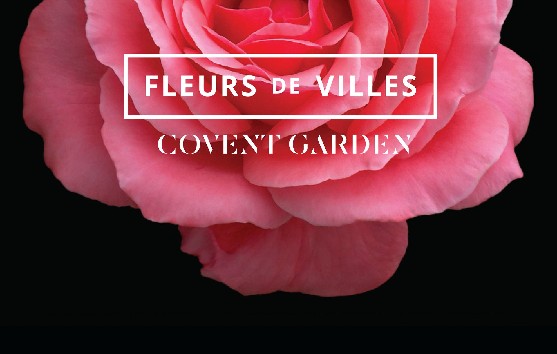 Creatibly Fleurs De Villes Brand Design