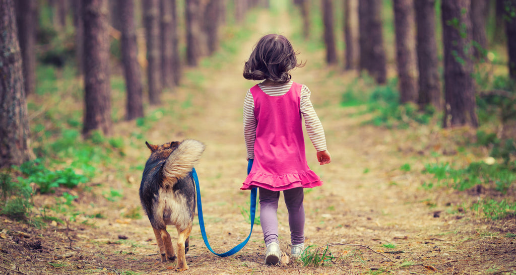 Trees for the Future - Girl walking dog through the woods