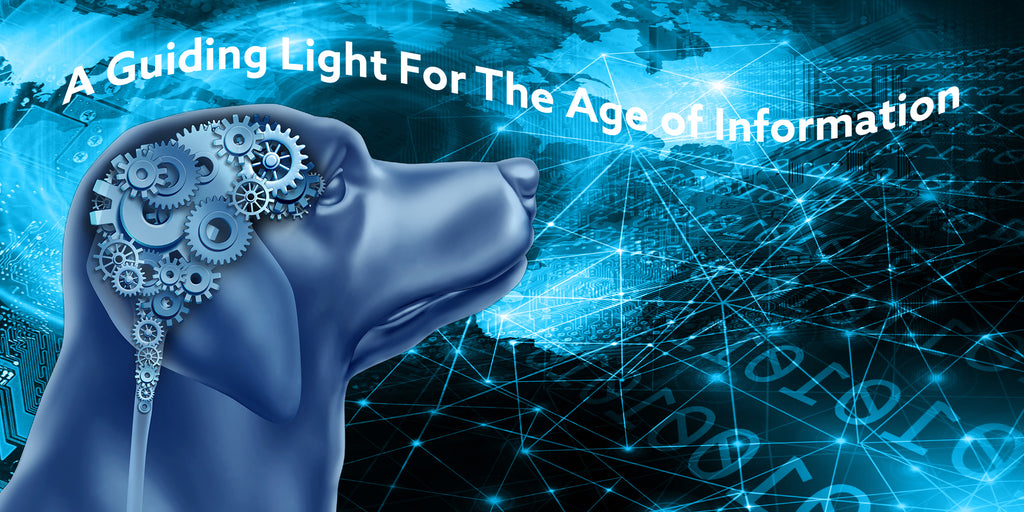 a guiding light for the information age