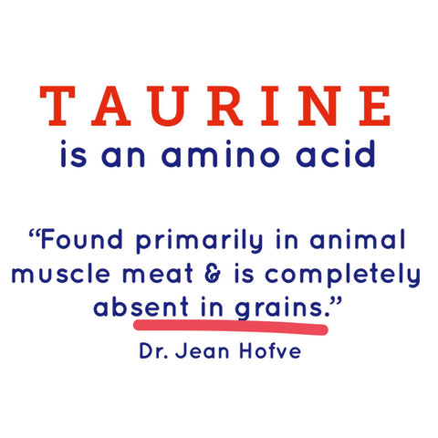 dogs and taurine