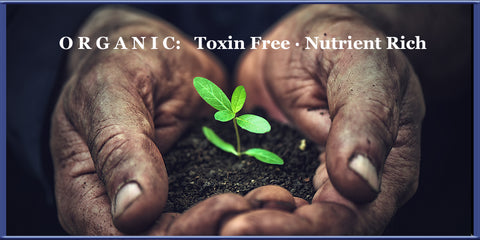 Organic food nutrient rich and toxin free