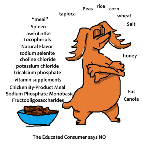 dog food allergies