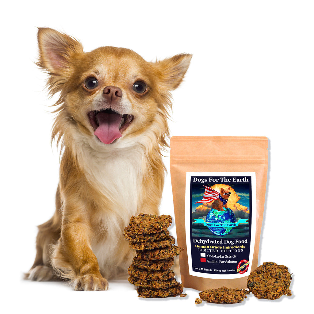 organic salmon dog food