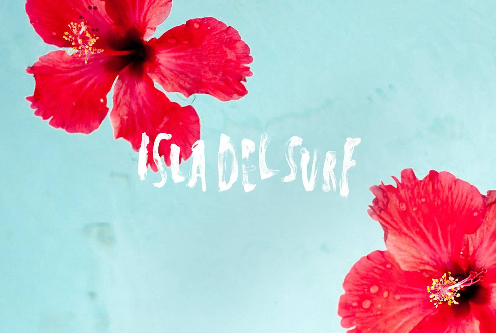 Billabong Summer 2017 | Isla Del Surf Womens Swimwear Collection|Billabong Summer 2017 | Isla Del Surf Womens Swimwear Collection